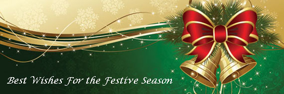 Best Wishes For the Festive Season